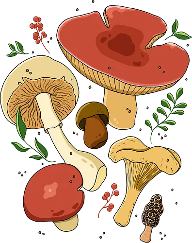 Mushrooms Botanical - pilz, mushroom, nature Mushrooms Botanical - pilz, mushroom, nature